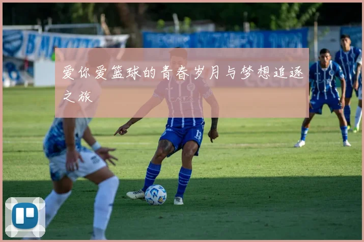 爱你爱篮球的青春岁月与梦想追逐之旅