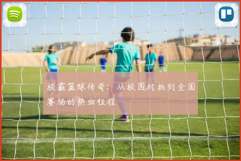 校霸篮球传奇：从校园对抗到全国赛场的热血征程