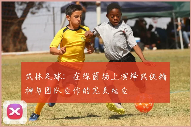 武林足球：在绿茵场上演绎武侠精神与团队合作的完美结合