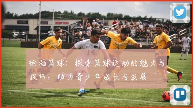 徐滔篮球：探索篮球运动的魅力与技巧，助力青少年成长与发展