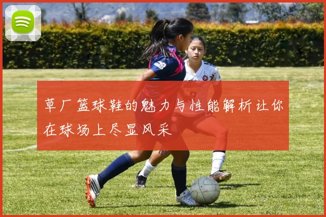 草厂篮球鞋的魅力与性能解析让你在球场上尽显风采