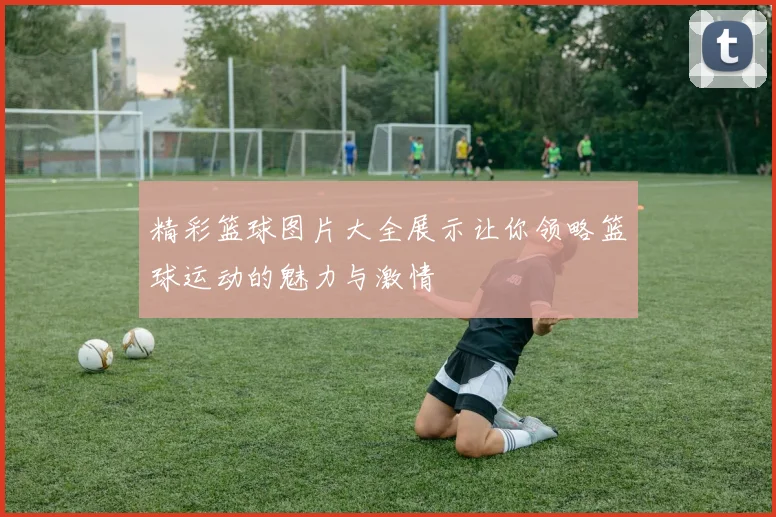 精彩篮球图片大全展示让你领略篮球运动的魅力与激情