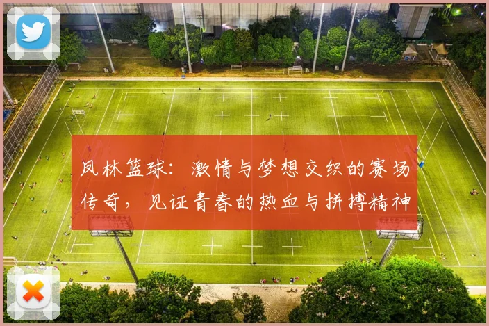 凤林篮球：激情与梦想交织的赛场传奇，见证青春的热血与拼搏精神